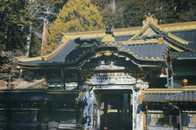【日光·東照宮】

下星期又要去日本了，結果一月拍的照片都還沒展示完😳

1月16日上午，日光市用和煦的陽光與藍天迎接我，天氣還是很冷，記得只有4度，積雪加上又是山區的關係，體感只有零度，應該是此生目前體驗過最冷的氣溫，但隨著接近日光東照宮，雀躍的心情可能使得捕捉每個絕美的瞬間，暫時忘卻冰凍的雙手。

與其說是世界遺產，讓日光東照宮耀眼的是每座宮殿的雕琢，即便有顯眼的金黃點綴，宮殿還是與周圍環境融入得很好，一切是如此靜謐美妙。

可惜當天考慮到體力與時間，沒有繼續往中禪寺湖前進，但僅僅是日光車站到東照宮周邊，沐浴在日光之下，心靈已療癒甚多了。

#日光 #日光東照宮 #神橋